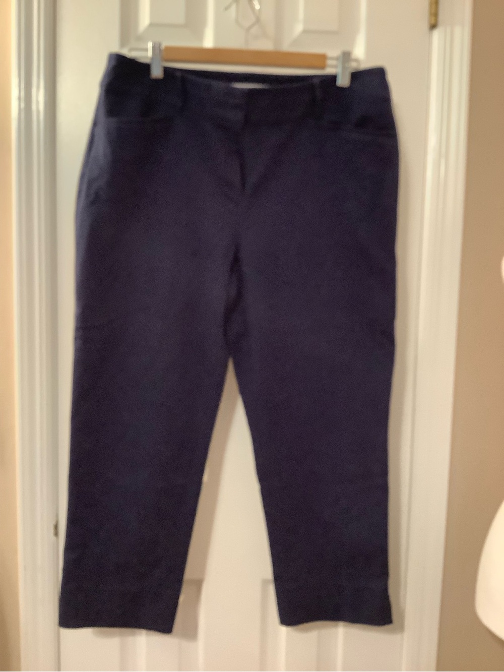 LOFT Navy Cropped Ankle Pants